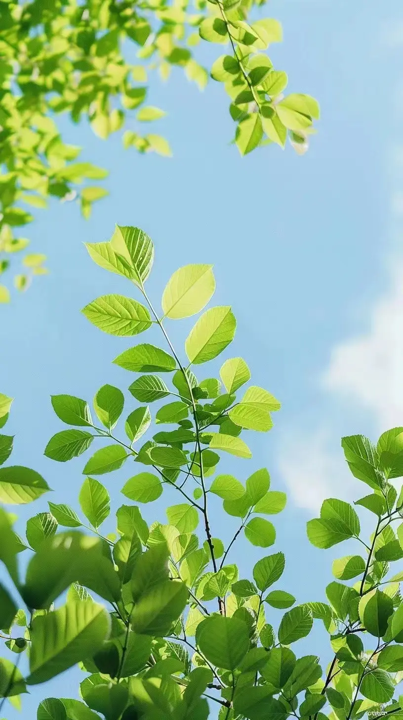 如何辨别真心朋友_如何鉴别谁是真心朋友_怎么区分真心朋友与普通朋友