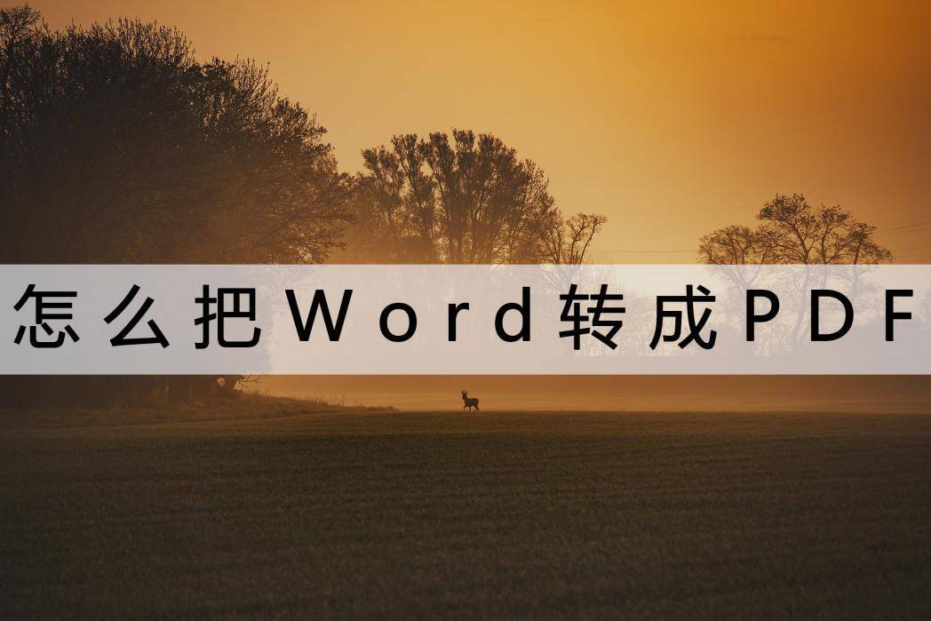 转换word软件_pdf转化为word软件_文档转化软件