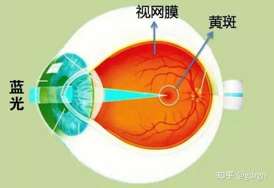 古古怪怪蓝光膜_古古怪怪蓝光膜_古古怪怪蓝光膜