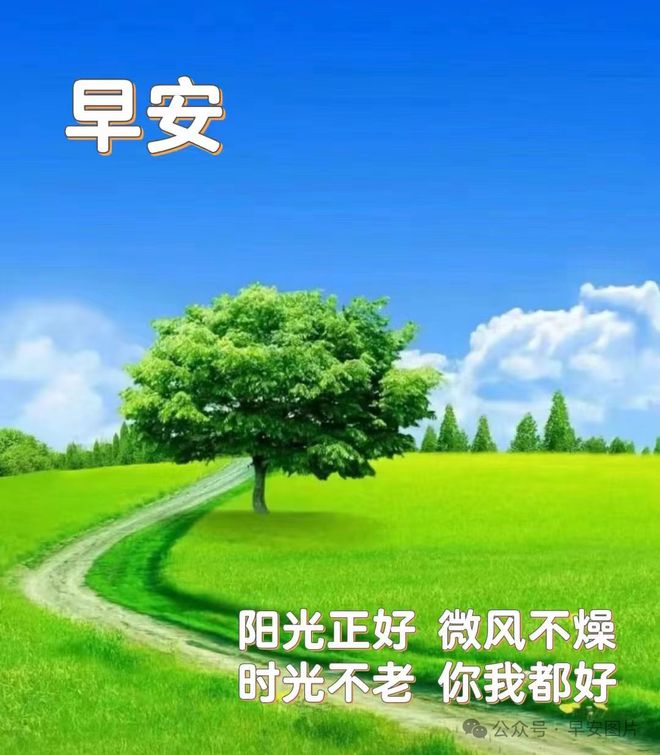 希奈丝特拉怎么单刷_单刷希奈丝特拉怎么打_希奈丝特拉