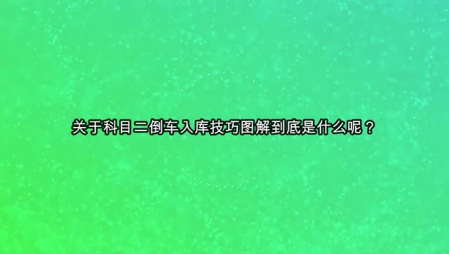 车自动倒车入库_新手自动如何倒车入库_倒车入库100%成功自动挡