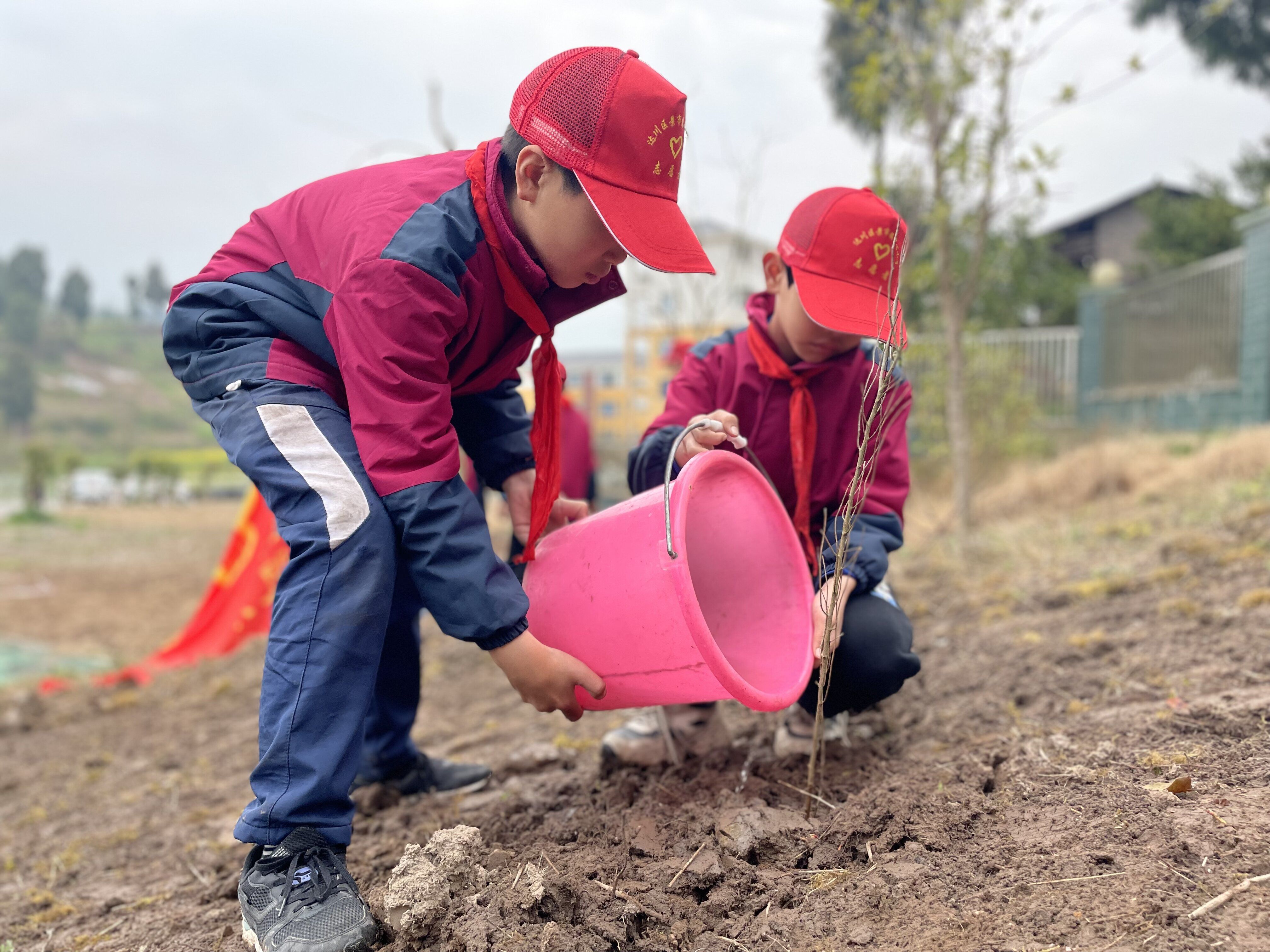 幼儿园植树节的反思_幼儿园植树节活动反思_幼儿植树节活动教案反思