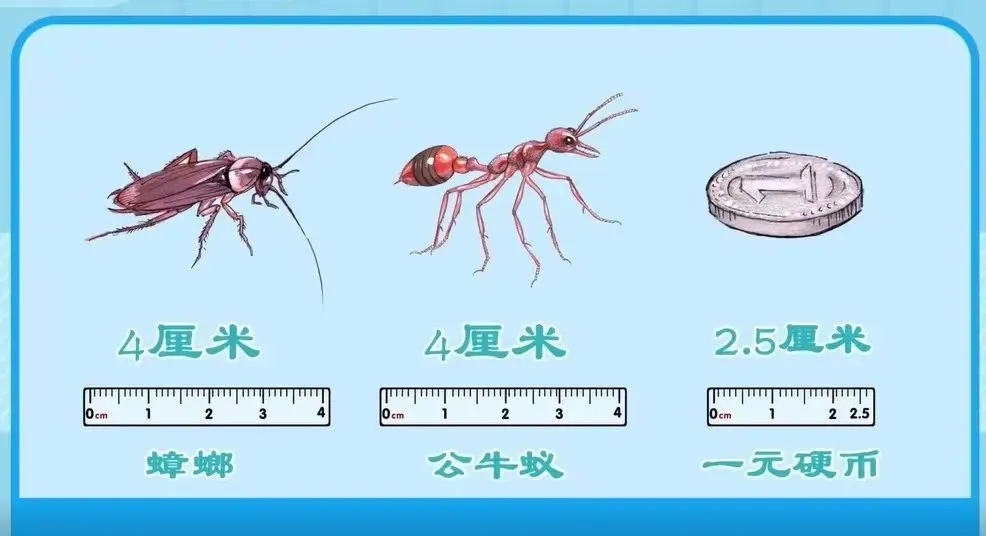 蚂蚁大作战是什么电影_蚂蚁大作战吧_蚂蚁大作战小游戏