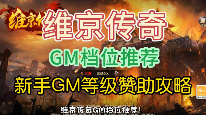 飞行执照第三关_gm 飞行大师执照_飞行执照是什么意思