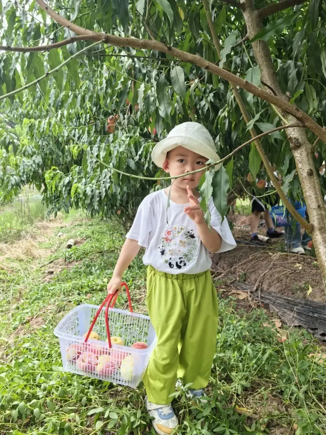 农场水果连连看2小游戏_农场水果连连看 3_农场水果连连看1小游戏