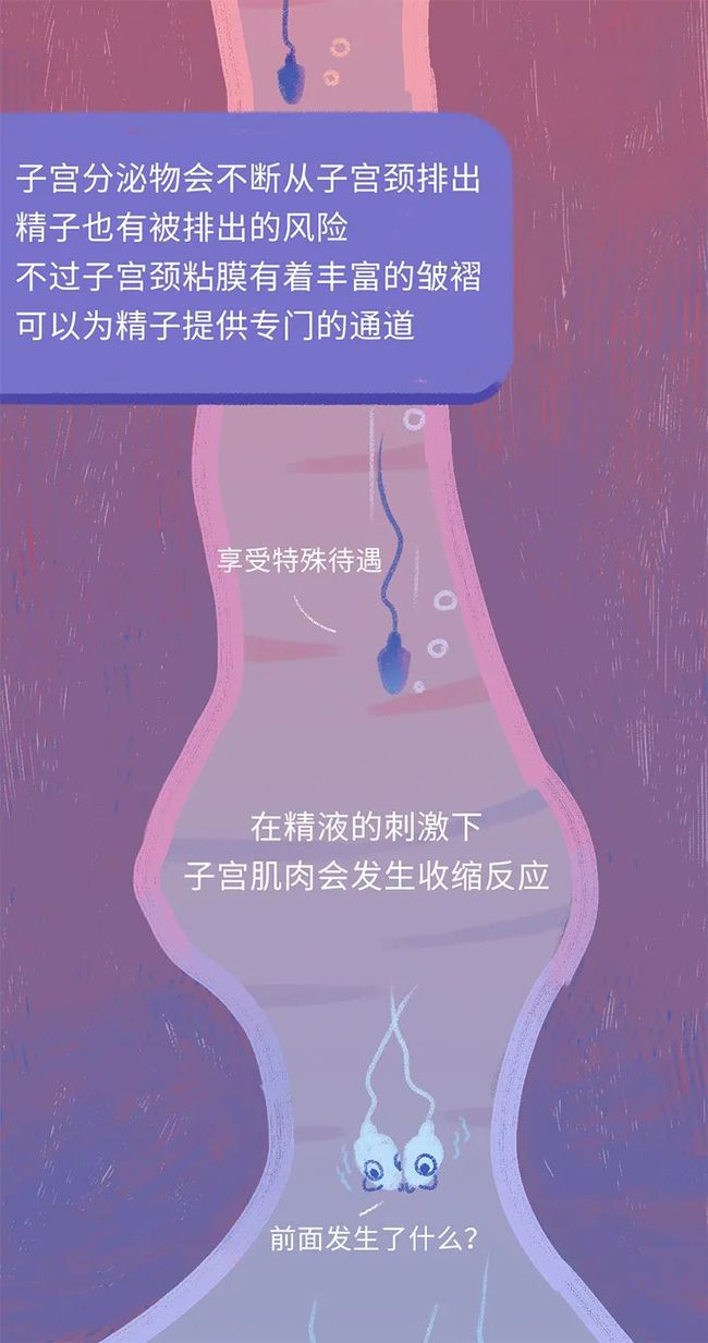 问道封印什么出必杀_问道封印法术必杀列表_问道封印师