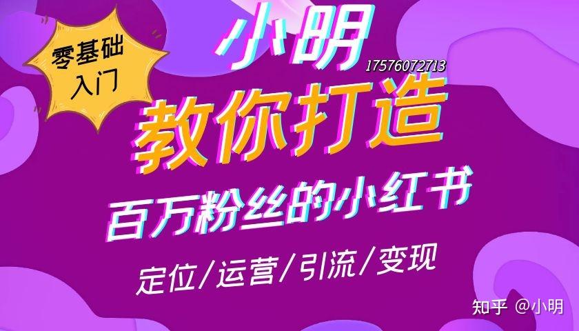 没有钱动漫2-没有钱动漫 2：梦想与现实的残酷碰撞，你准备好了吗？