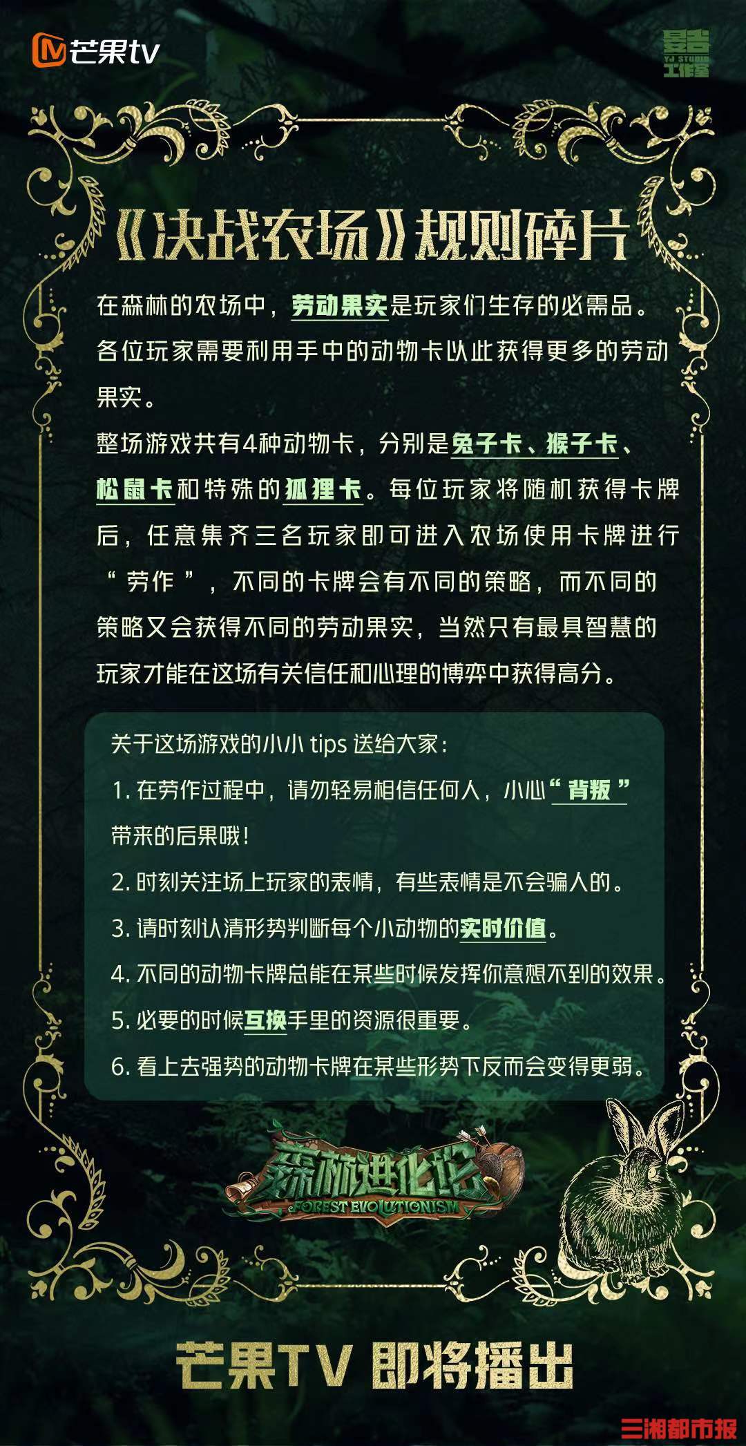 桌游世界网页-潜入神秘网页，探索桌游世界的惊喜与挑战