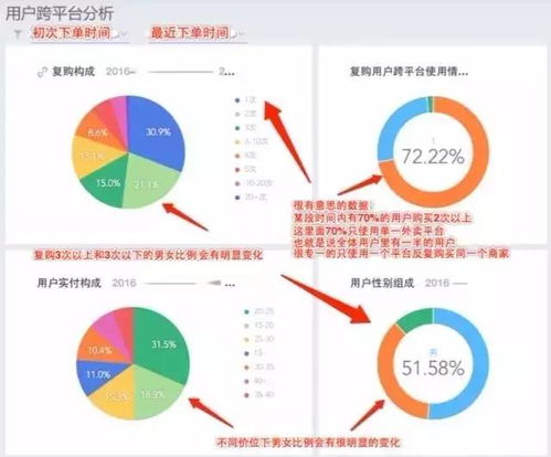 【求职季热卖】戴你玩转数据分析,求职季热卖！戴你玩转数据分析，开启职场新篇章