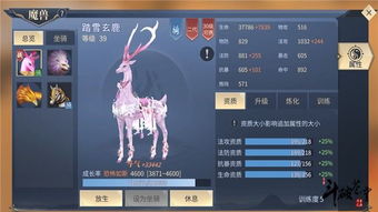 斗破苍穹手游 职业赛一个队伍有几个人,人数配置与战术策略