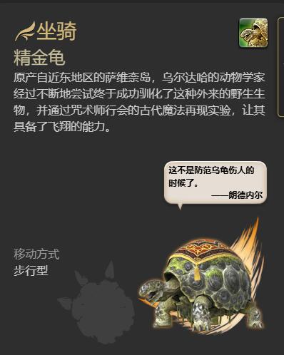 精金龟游戏