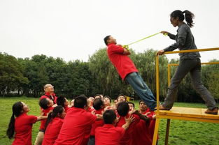 团结小游戏小学,快乐成长——小学生团结小游戏体验记”