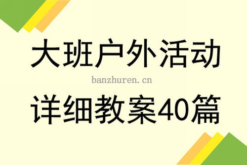 户外游戏教案飞盘,培养幼儿团队协作与运动技能的户外乐园