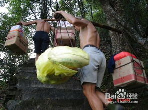 梵净山住宿攻略游戏,探索自然与舒适的完美融合