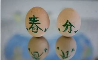 竖蛋游戏英语,Spring Equinox Tradition: The Art of Egg Standing