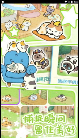 因为遇见猫游戏下载安卓,开启你的猫咪养成之旅
