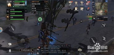 密斯卡游戏,揭秘密斯卡游戏之旅