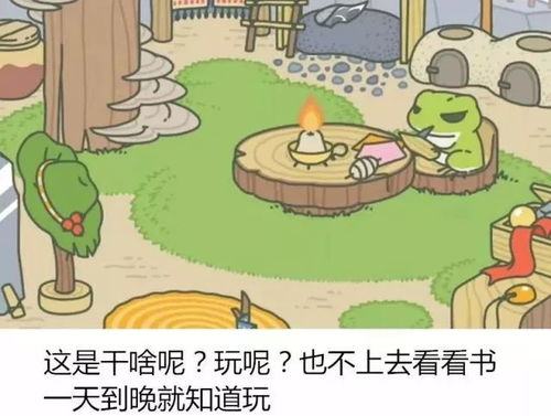 养蛙儿子游戏,从虚拟到现实的亲子时光