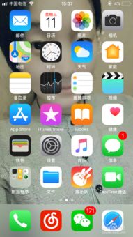 安卓小游戏挂机下载苹果,共享欢乐时光