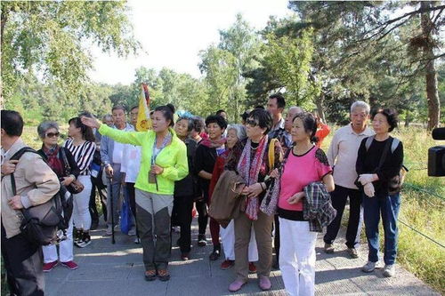 旅游全陪游戏,全陪导游带你体验趣味旅游游戏之旅