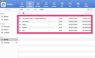 苹果酷狗游戏,打造全新娱乐体验